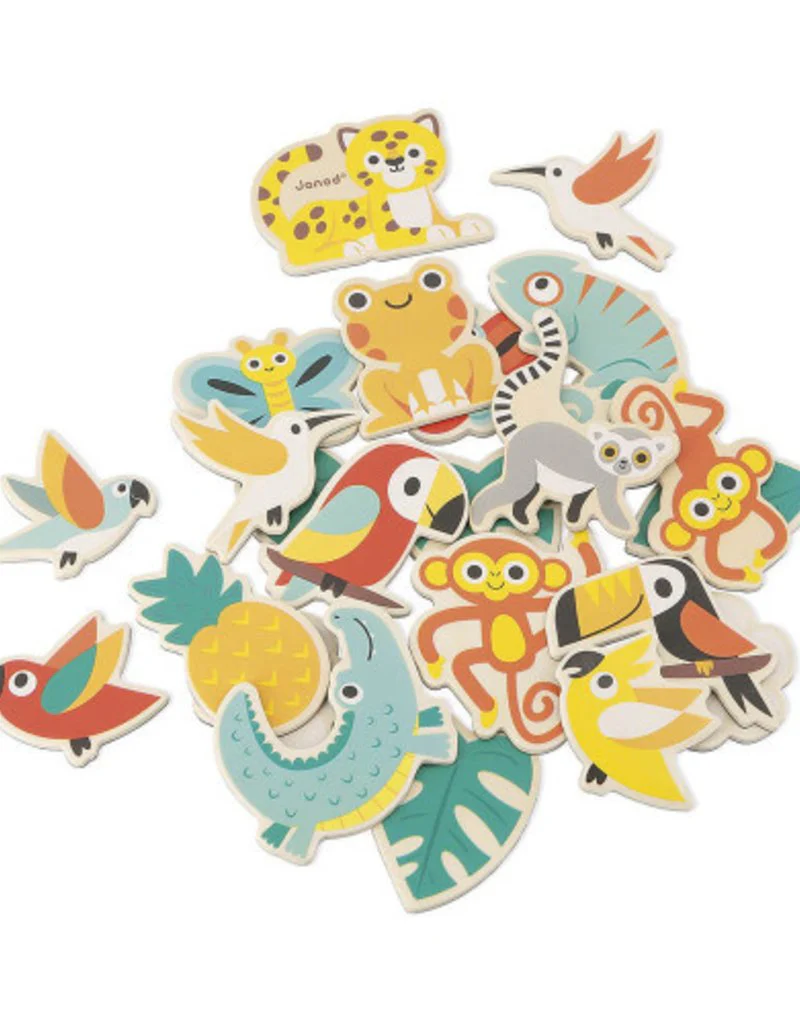 24 magnets tropicaux – Image 3