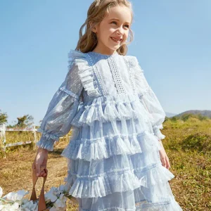 Robe vintage plissée à manches longues en dentelle