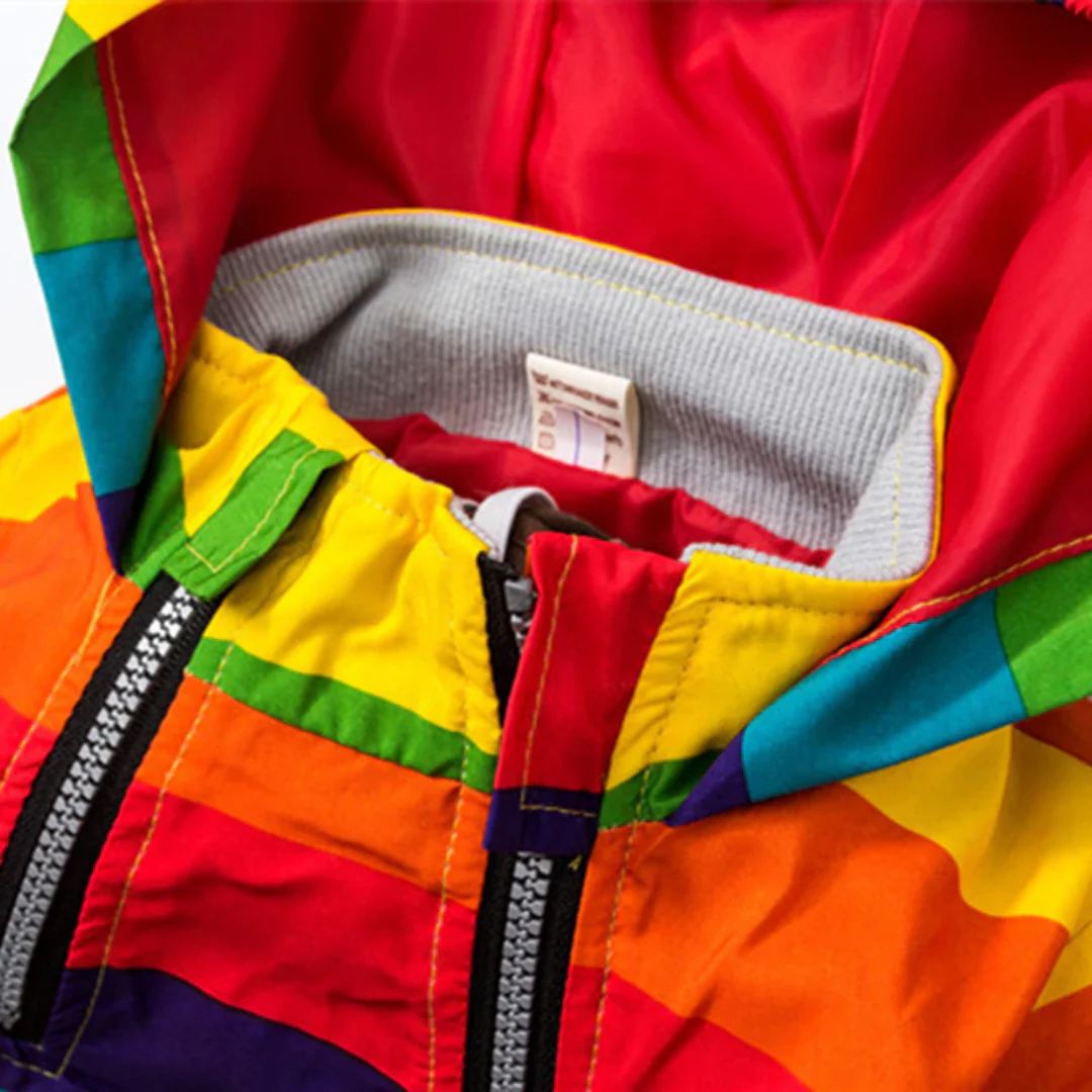 Veste coupe-vent à capuche Star Rainbow Stripes – Image 5