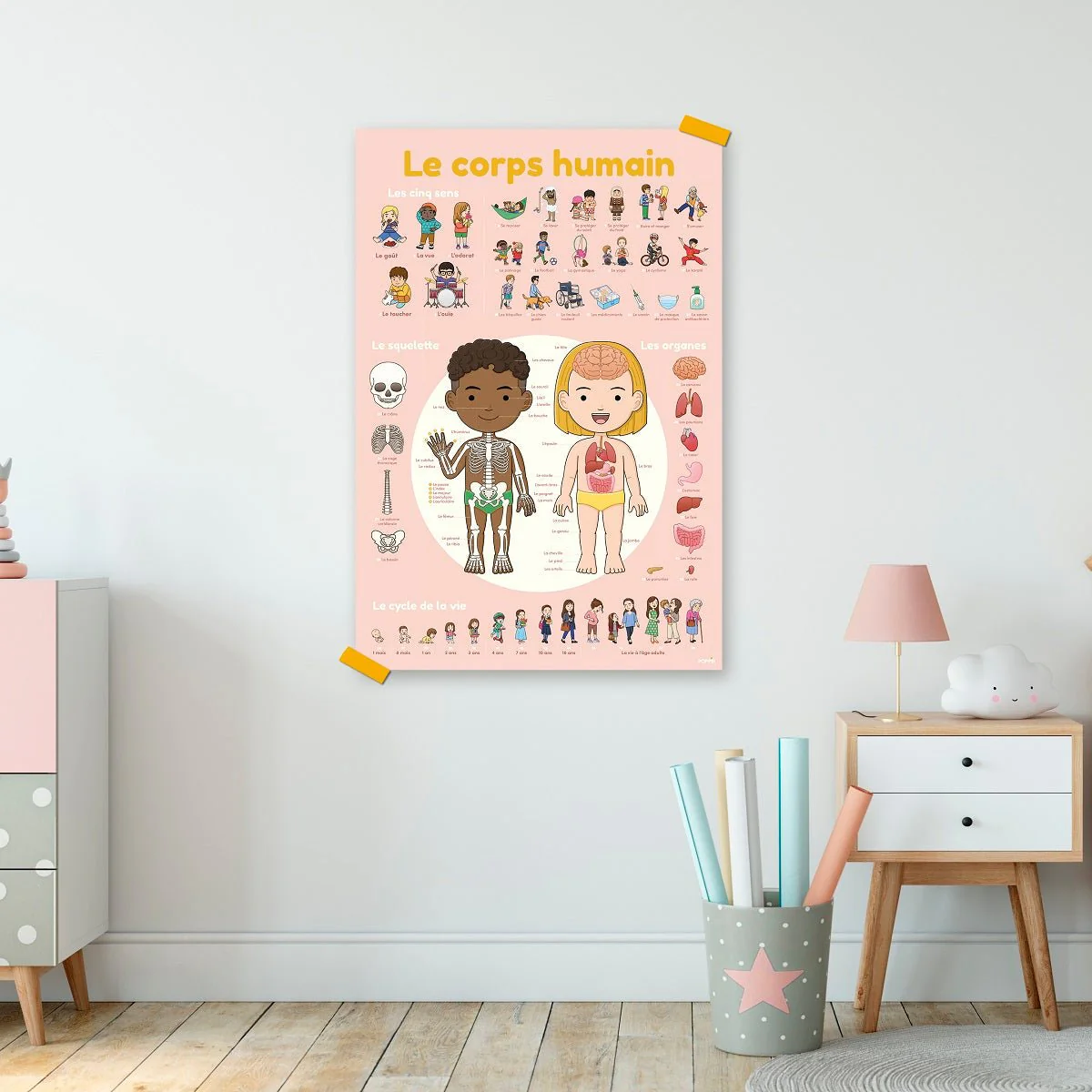 Affiche découverte corps humain – Image 2