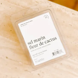 Sel marin fleur de cactus Pastilles pour diffuseur (6)